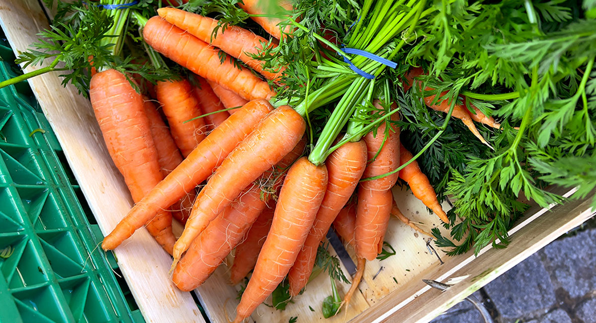 Carrot : క్యారెట్ లను చలికాలంలో తింటే ఏం జరుగుతుందో తెలుసా…!