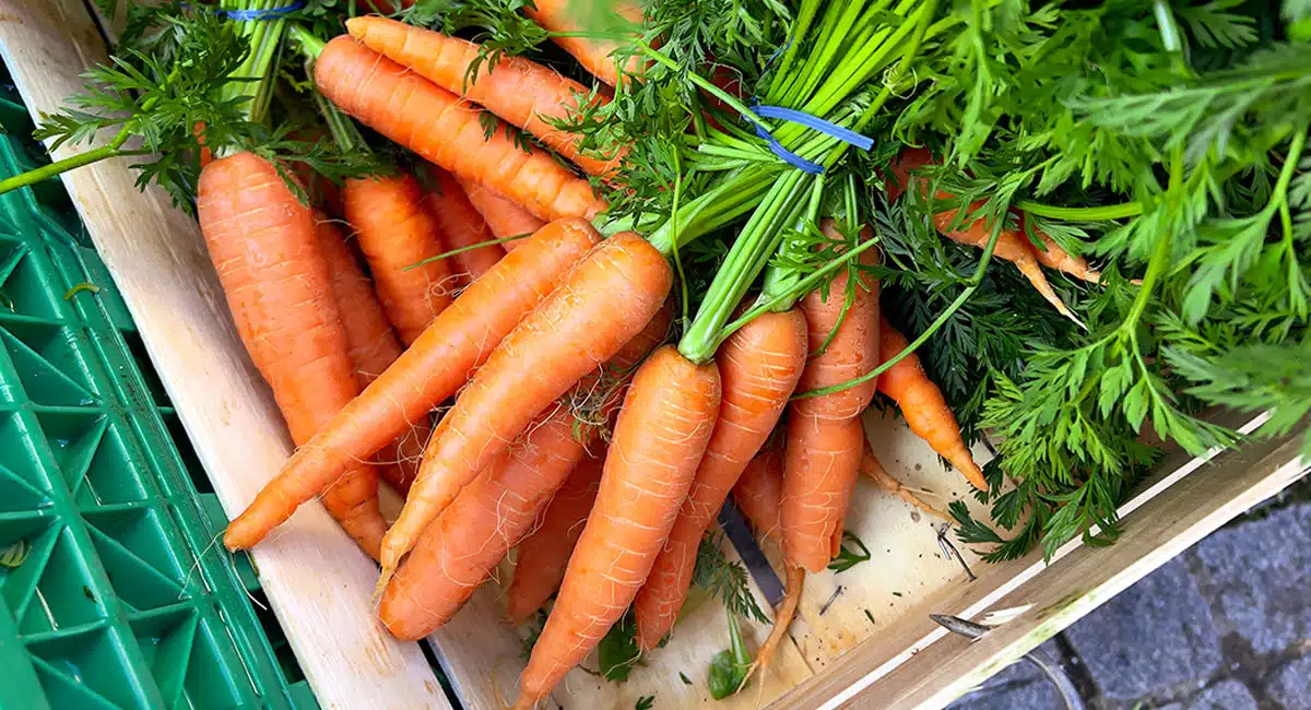 Carrot : క్యారెట్ లను చలికాలంలో తింటే ఏం జరుగుతుందో తెలుసా...!