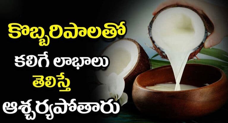 Coconut Milk : కొబ్బరి పాలతో కలిగే లాభాలు తెలిస్తే ఆశ్చర్యపోతారు…!