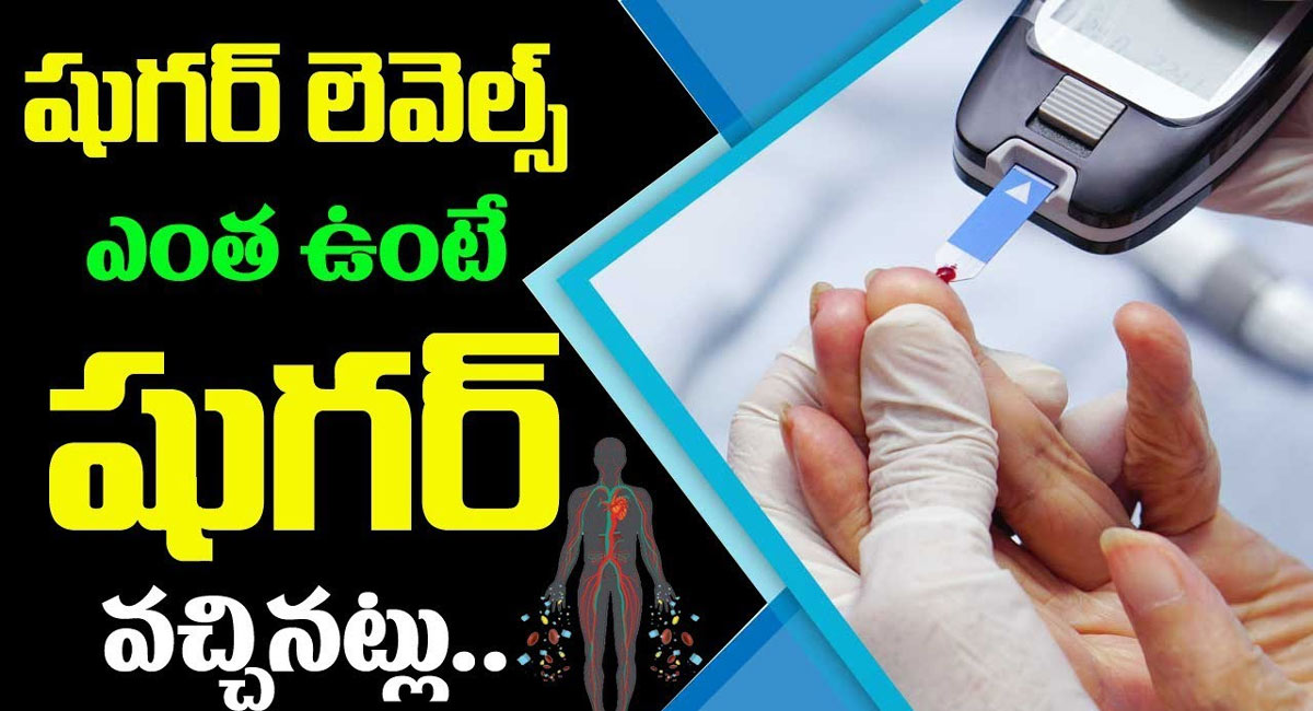 Diabetes : డ‌యాబెటిస్ వ‌చ్చింద‌ని ఎలా తెలుసుకోవాలి.. నార్మ‌ల్‌గా షుగ‌ర్ ఎంతుంటే మ‌నం సేఫ్‌..?