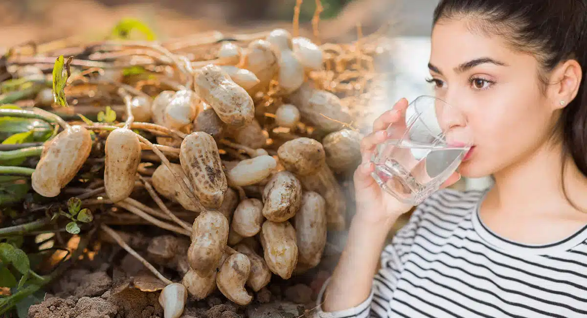 Groundnut : పల్లీలు తిన్నాక నీళ్లు తాగుతున్నారా.? అయితే ఈ విషయాలు తప్పక తెలుసుకోవాలి...!