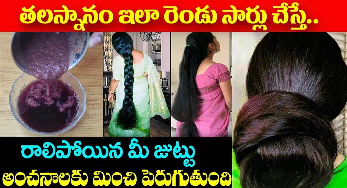 Hair Tips : తలస్నానం ఇలా రెండుసార్లు చేస్తే రాలిపోయిన మీ జుట్టు అంచనాలకు మించి పెరుగుతుంది...!