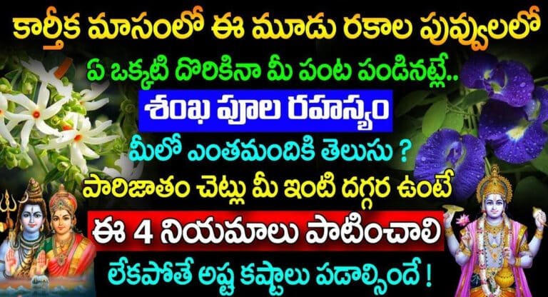 Karthika Masam : కార్తీక మాసంలో ఈ మూడు రకాల పువ్వులలో ఏ ఒక్కటి దొరికిన మీ పంట పండినట్లే…