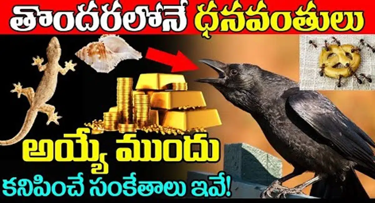 Money : ధనవంతులయ్యే ముందు మీకు కనిపించే సంకేతాలు ఇవే...!