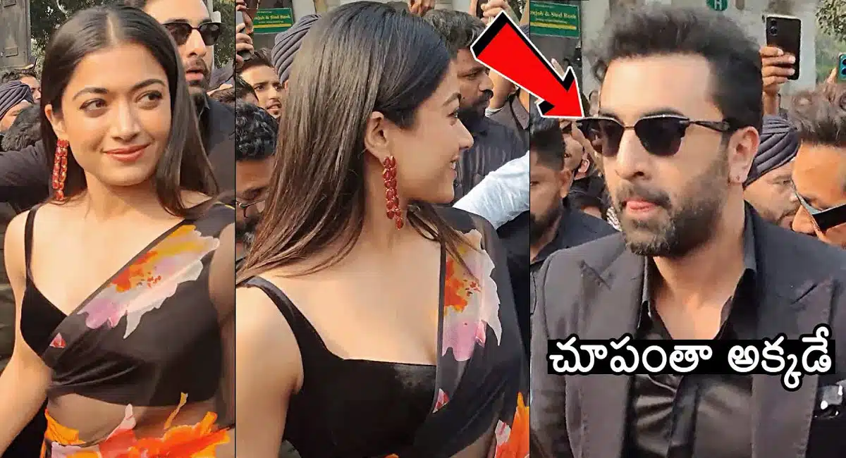 Rashmika Mandanna : చీరలో రష్మికా మందన్న.. రణబీర్ చూపంతా అక్కడే..??