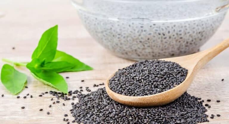 Sabja Seeds : సబ్జా గింజలు కదా అని తక్కువ అంచనా వేస్తున్నారా..? వీటిని కలిపి తాగితే నెల రోజులలో 15 కిలోలు తగ్గుతారు…!