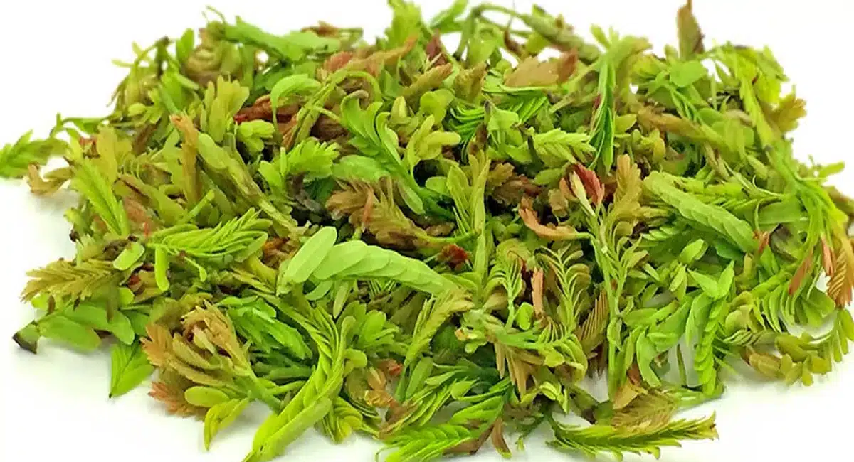 Tamarind leaves : చింత చిగురుతో ఎన్ని ప్రయోజనాలు ఉన్నాయో తెలుసా .. ముఖ్యంగా ఈ సమస్యలకు..???