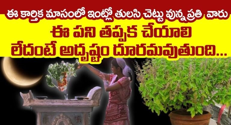Karthika Masam : ఈ కార్తీకమాసంలో తులసి చెట్టు ఉన్న ప్రతి వారు ఈ పని తప్పక చేయాలి…!
