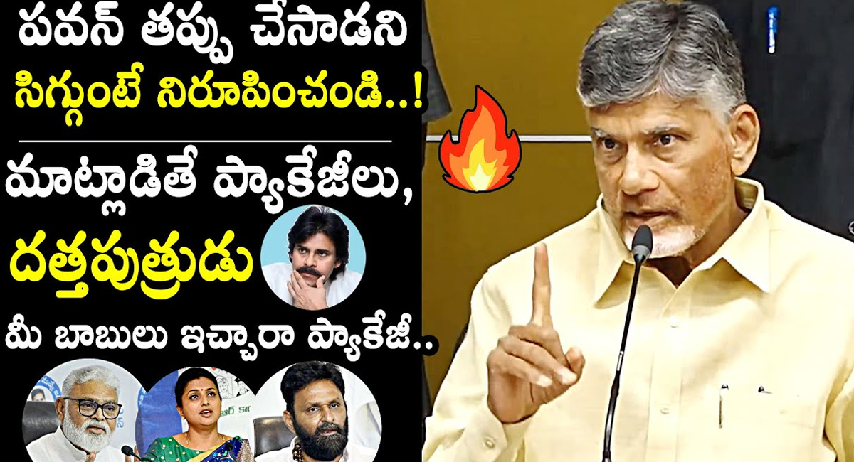 Chandra babu పవన్ తప్పు చేశాడని నిరూపించండి .. వైసీపీ నాయకులపై మండిపడ్డ చంద్రబాబు నాయుడు..