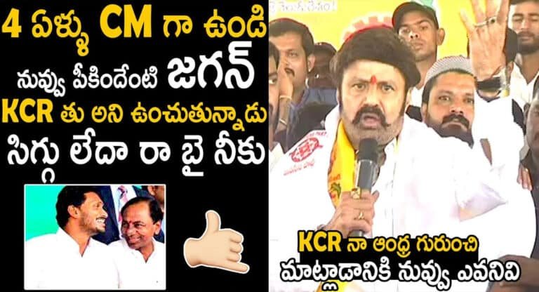 YS Jagan Mohan Reddy : జగన్ ను కేసీఆర్ తూ అని అంటున్నాడు.. నువ్వు సీఎంగా ఉండి ఏంటి లాభం.. బాలకృష్ణ ఫైర్