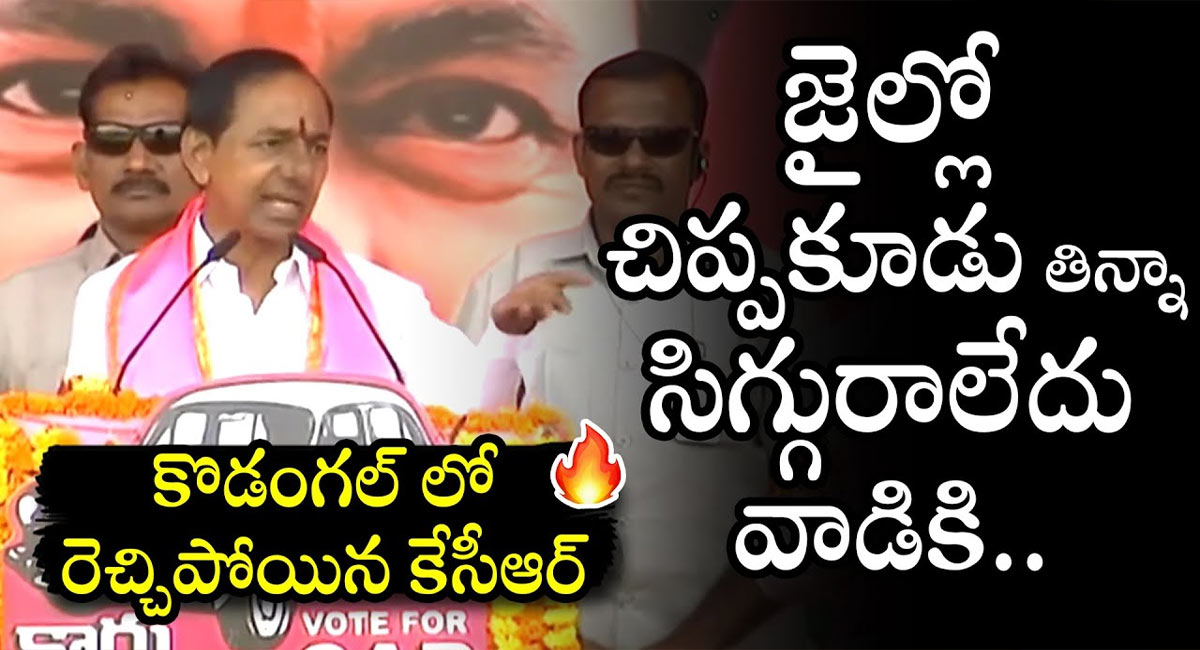 KCR – Revanth Reddy : జైలులో చిప్పకూడు తిన్నా సిగ్గు రాలేదు.. కొడంగల్ సాక్షిగా రేవంత్ రెడ్డిపై కేసీఆర్ ఫైర్