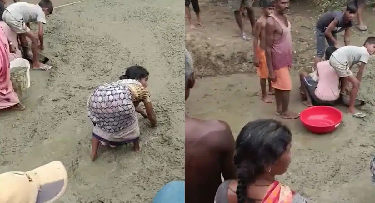 villagers looted road material in bihar video viral