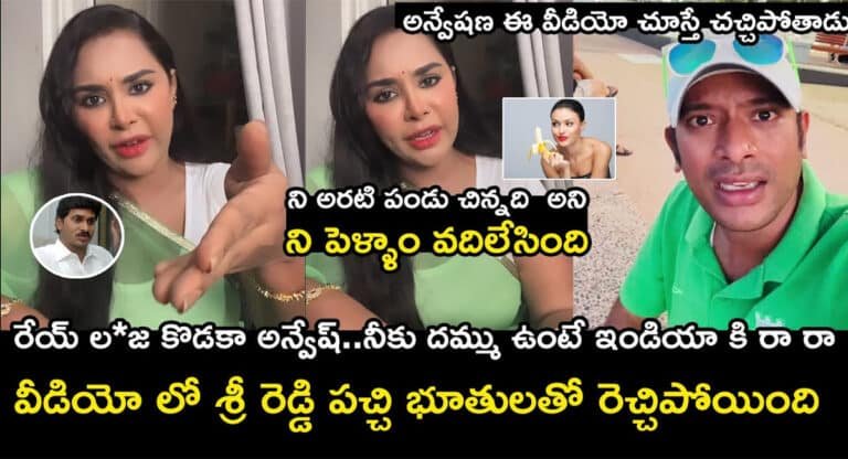 Naa Anveshana VS SriReddy : నీ అరటిపండు చిన్నదని నీ పెళ్లాం వదిలేసిందిరా.. యూట్యూబర్ నా అన్వేషణపై శ్రీరెడ్డి ఫైర్