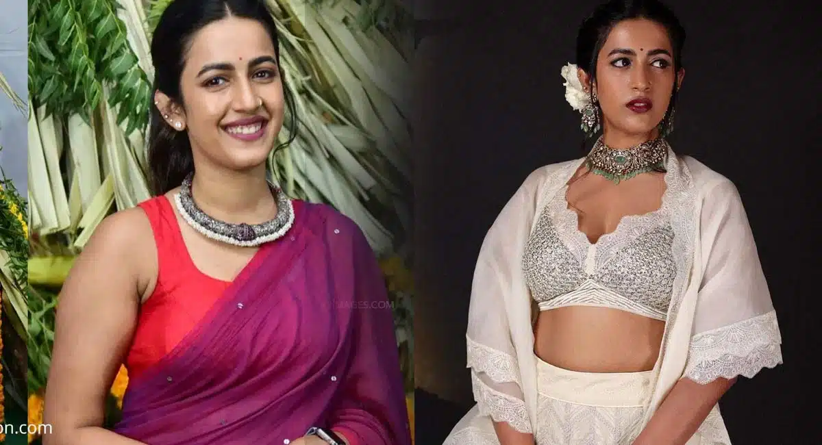 Niharika konidela : నిహారిక కొత్త వీడియోపై నెటిజన్ల రియాక్షన్ ఇదే .. రోజు ఈ టార్చర్ ఏంటి అంటూ కామెంట్స్..!