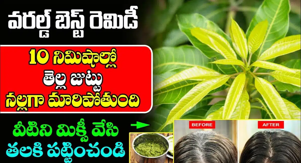 Best Remedy White Hair : వరల్డ్ బెస్ట్ రెమెడీ.. 10 నిమిషాలలో తెల్ల జుట్టు నల్లగా మారిపోతుంది...