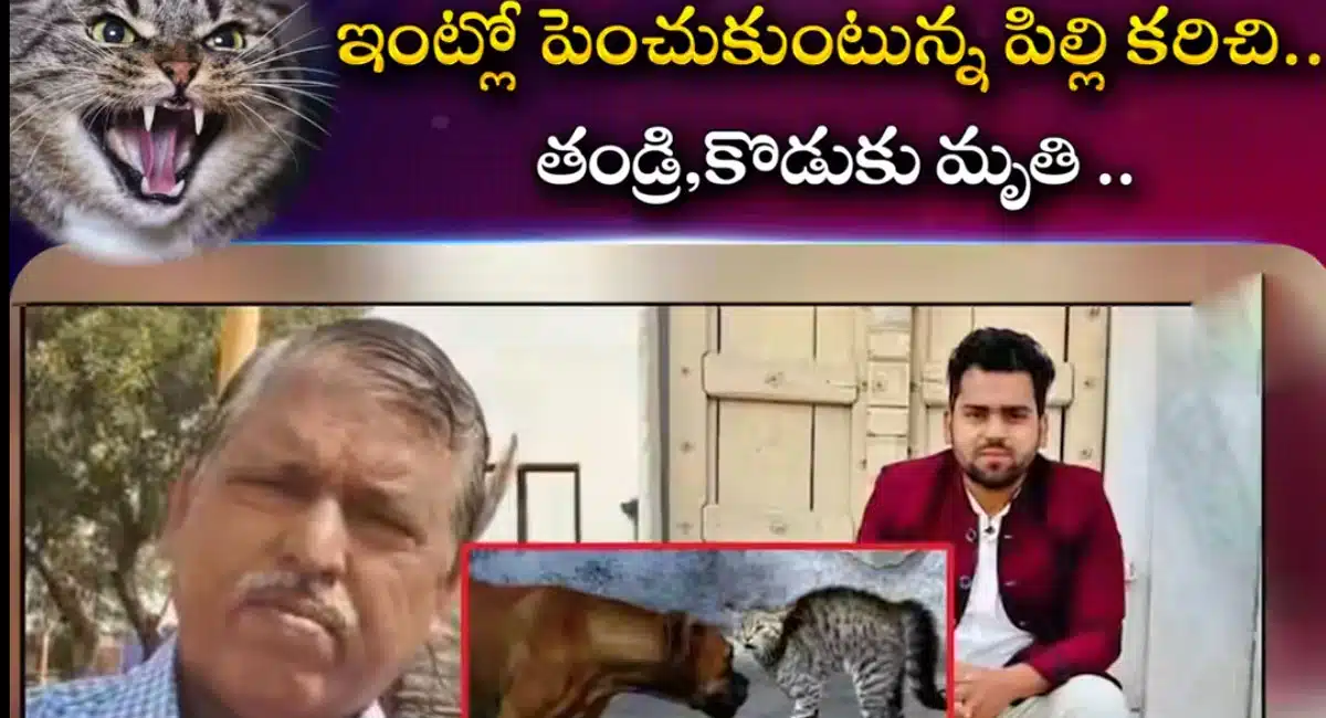 Cat : తండ్రి కొడుకుల ప్రాణాలు తీసిన పిల్లి ..!
