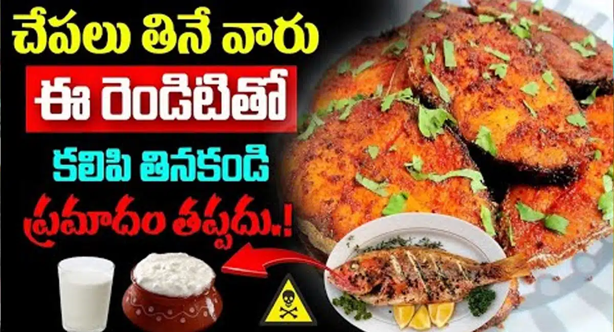 Harmful Food : చేపలు తినేవారు ఈ రెండిటితో కలిపి తినకండి... ప్రమాదం తప్పదు...!