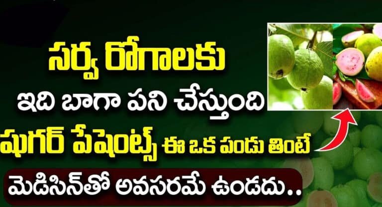 Guava : ఈ ఒక పండు షుగర్ పేషెంట్స్ తింటే మెడిసిన్స్ తో అవసరమే ఉండదు…!