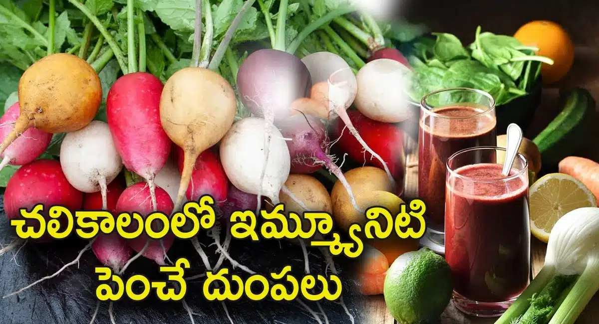Immunity Boost Foods : శీతాకాలంలో ఇమ్యూనిటీని పెంచి ఆరోగ్యంగా ఉంచే దుంపలు ఇవే…!!