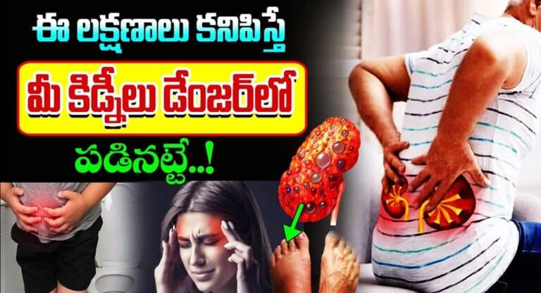 Kidney Failure : మీ కిడ్నీలు ప్రమాదంలో ఉన్నాయని తెలిపే లక్షణాలు ఇవే…!