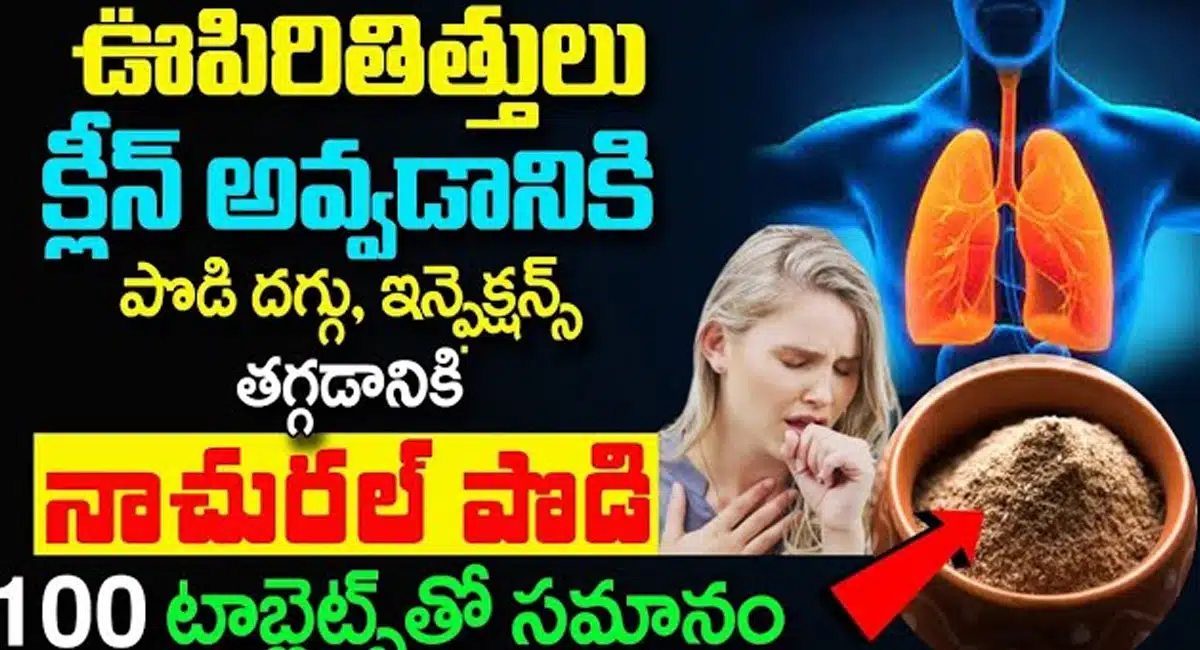 Lungs Infection : జలుబు, దగ్గు, ఇన్ఫెక్షన్స్ ఊపిరితిత్తులు క్లీన్ అవ్వడానికి నాచురల్ పొడి...!