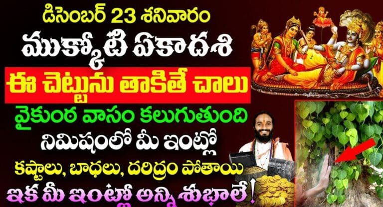 Mukkoti Ekadasi Pooja : డిసెంబర్ 23 ముక్కోటి ఏకాదశి నాడు ఈ చెట్టును తాకితే చాలు.. వైకుంఠవాసం కలుగుతుంది..!