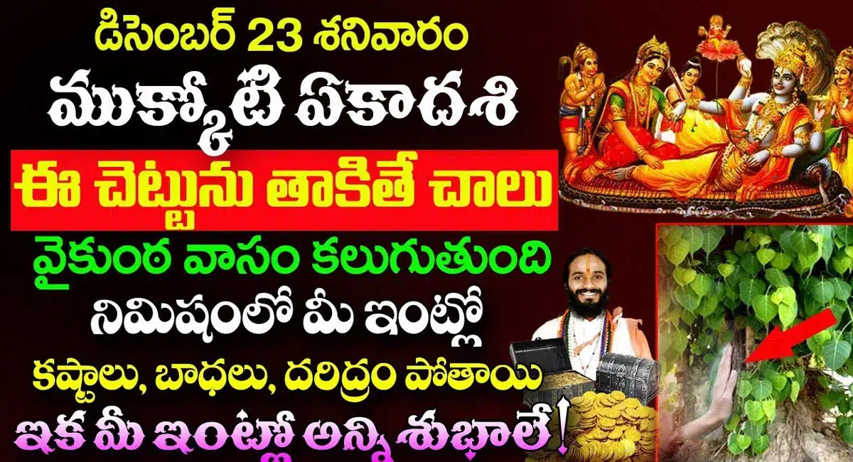 Mukkoti Ekadasi Pooja : డిసెంబర్ 23 ముక్కోటి ఏకాదశి నాడు ఈ చెట్టును తాకితే చాలు.. వైకుంఠవాసం కలుగుతుంది..!