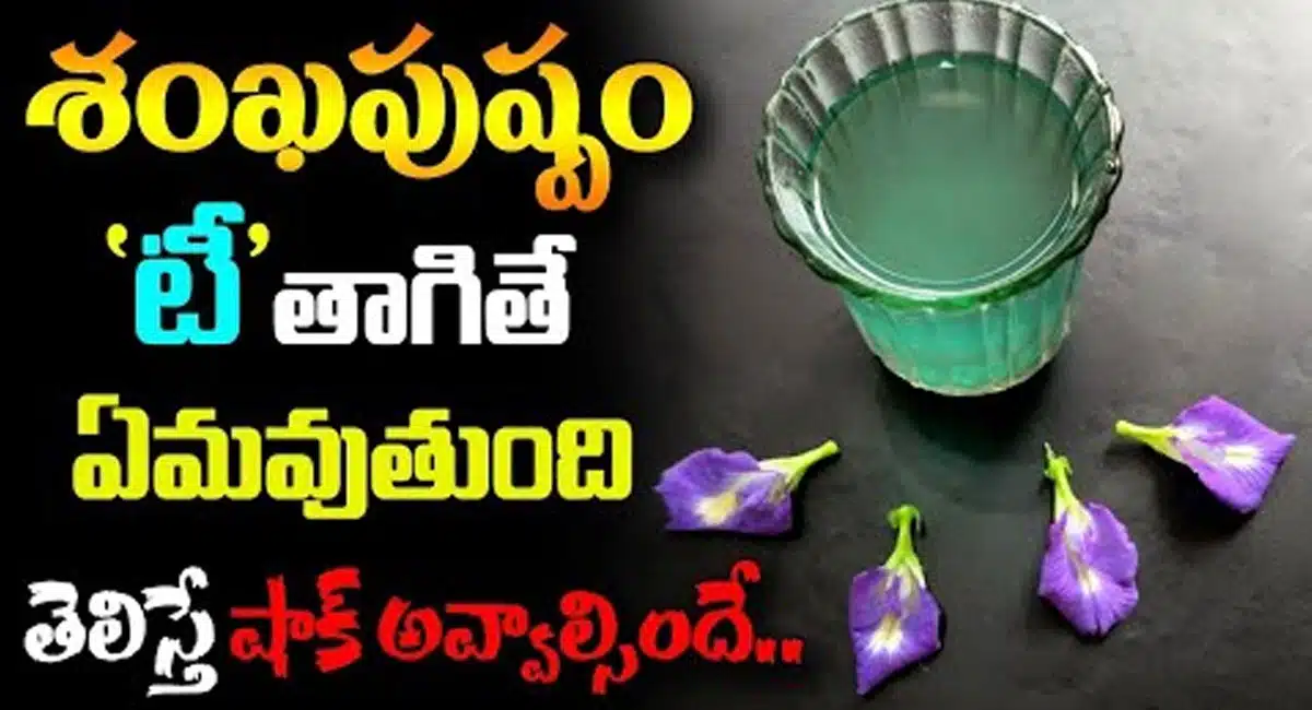 Pea Flowers Tea : శంఖపుష్పం టీ తాగితే ఏమవుతుంది..?తెలిస్తే షాక్ అవ్వాల్సిందే...!