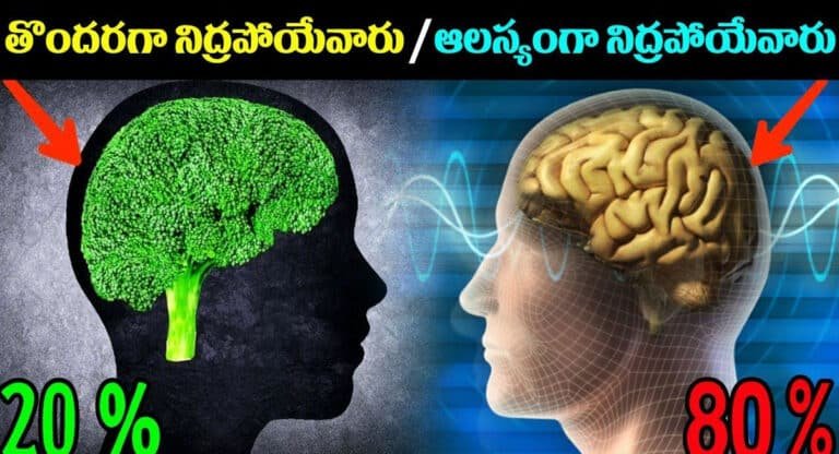 Sleep And Brain Function : తొందరగా నిద్రపోయేవారు 20%… ఆలస్యంగా నిద్రపోయేవారు 80%…