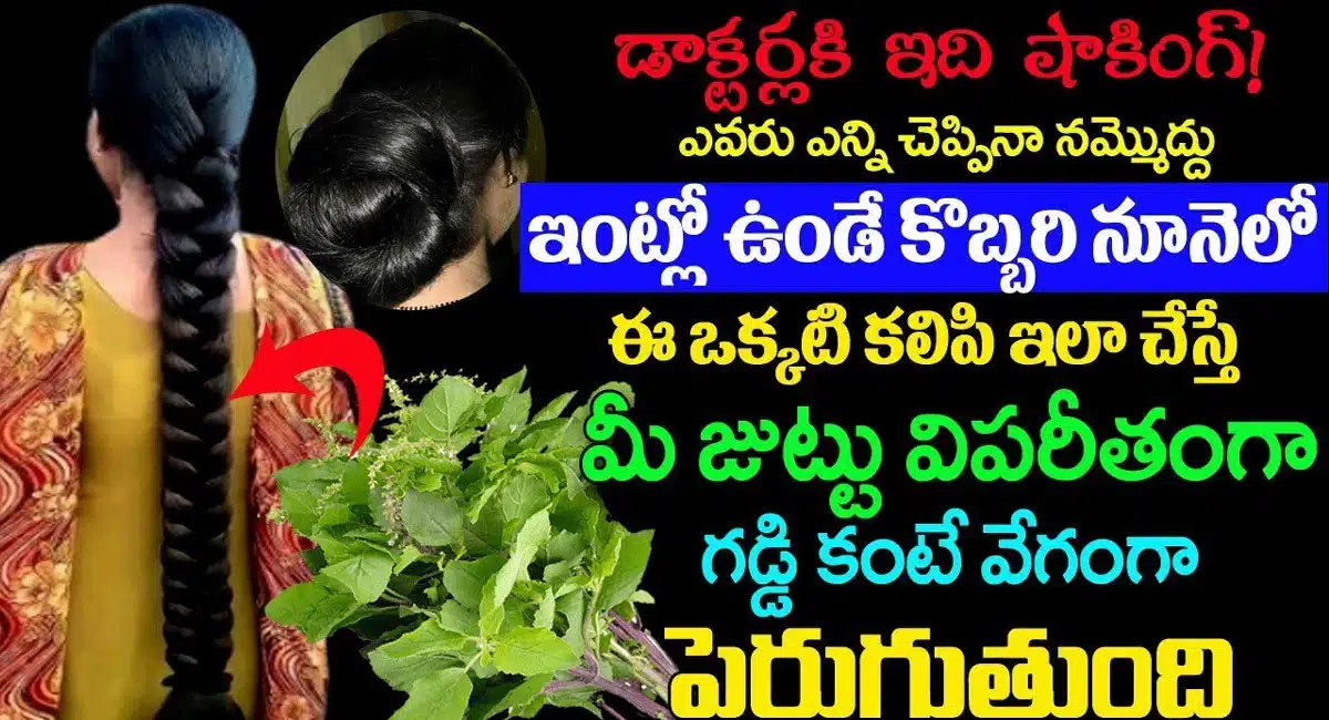 Hair Growth Remedy : డాక్టర్ల కి ఇది షాకింగ్ న్యూస్... ఇంట్లో ఉండే కొబ్బరి నూనెలో ఇది ఒక్కటి కలిపితే చాలు..!