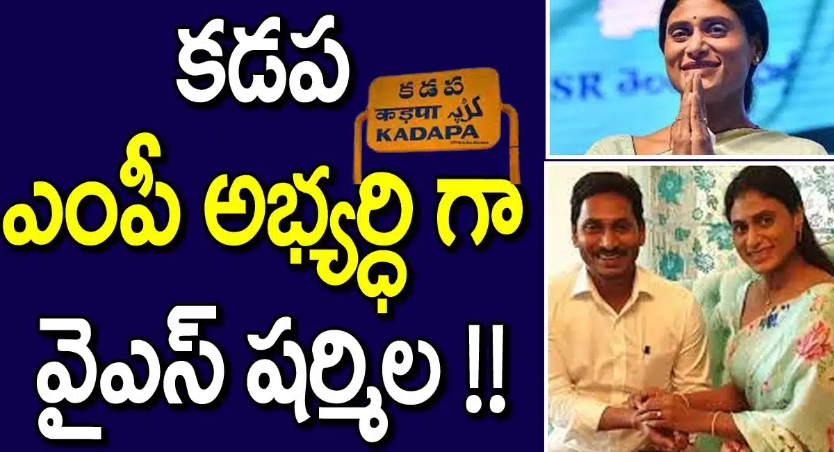 ys sharmila as kadapa mp candidate
