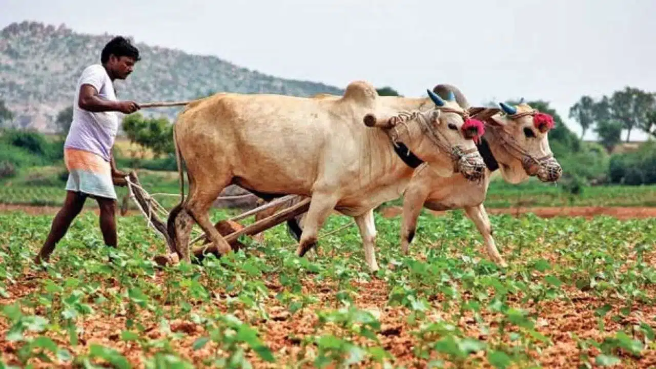 PM Kisan : రైతన్నలకు బ్యాడ్ న్యూస్.. పీఎం కిసాన్ స్కీం పై మోసం ..!