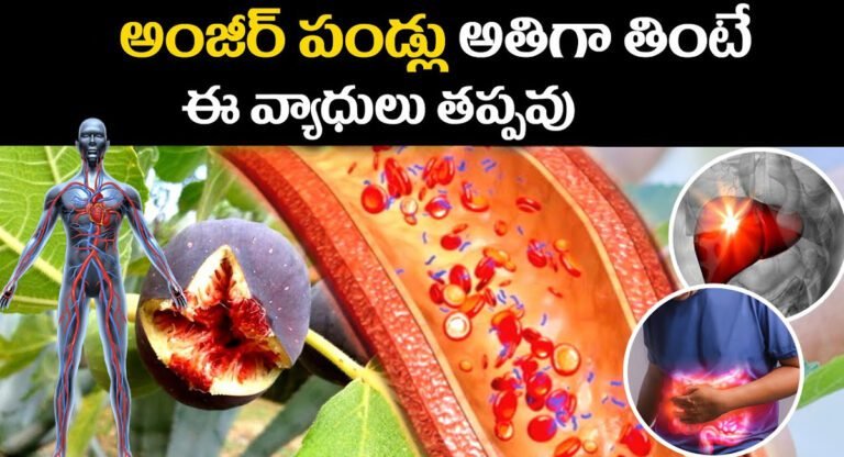 Anjeer Health Benefits : అంజీర్ పండ్లు అతిగా తింటే ఈ వ్యాధుల బారిన పడక తప్పదు…!