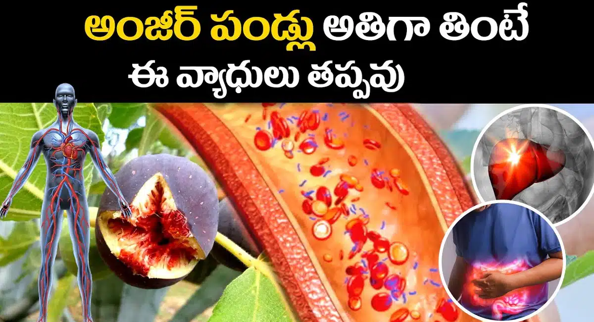 Anjeer Health Benefits : అంజీర్ పండ్లు అతిగా తింటే ఈ వ్యాధుల బారిన పడక తప్పదు...!