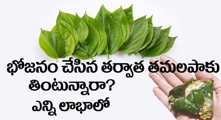Betel Leaf : భోజనం చేసిన తర్వాత తమలపాకులను తింటున్నారా..? అయితే ఈ విషయాలు తప్పక తెలుసుకోవాలి..!