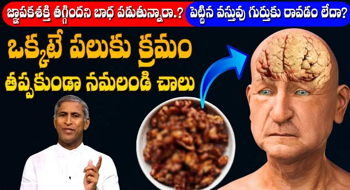 Brain Sharpness : బ్రెయిన్ చురుకుదనం పెరగాలంటే.. ఒక్కటే పలుకు క్రమం తప్పకుండా నమలండి చాలు...!