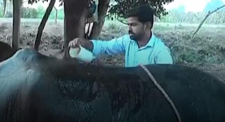Business : చదువు మానేసి.. నెలకి రూ. 50 వేల ఆదాయం.. వ్యవసాయానికి అనుగుణంగా వ్యాపారం..!