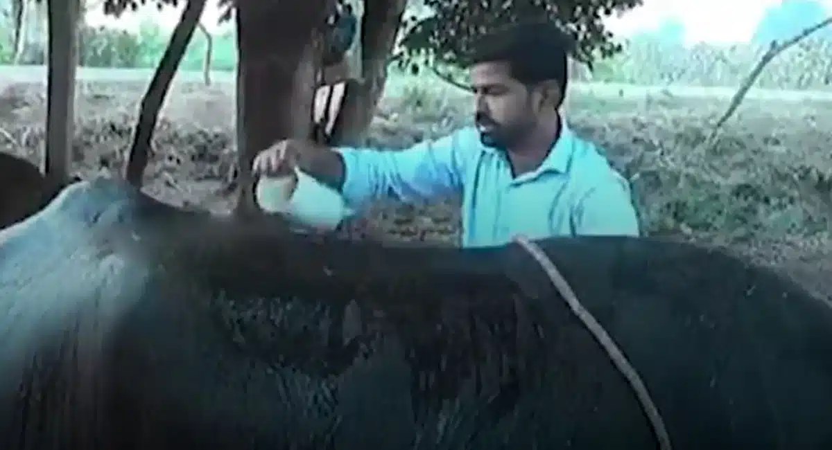 Business : చదువు మానేసి.. నెలకి రూ. 50 వేల ఆదాయం.. వ్యవసాయానికి అనుగుణంగా వ్యాపారం..!