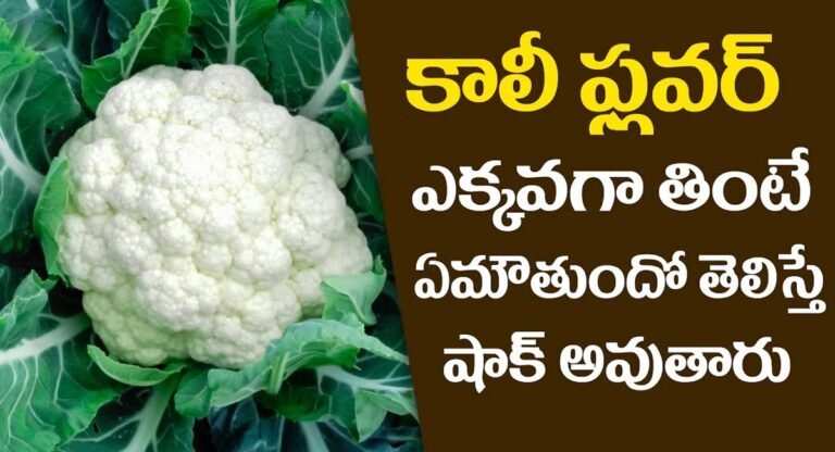 Cauliflower : క్యాలీఫ్లవర్ ఎక్కువగా తింటే ఏమవుతుందో తెలిస్తే షాక్ అవుతారు…!