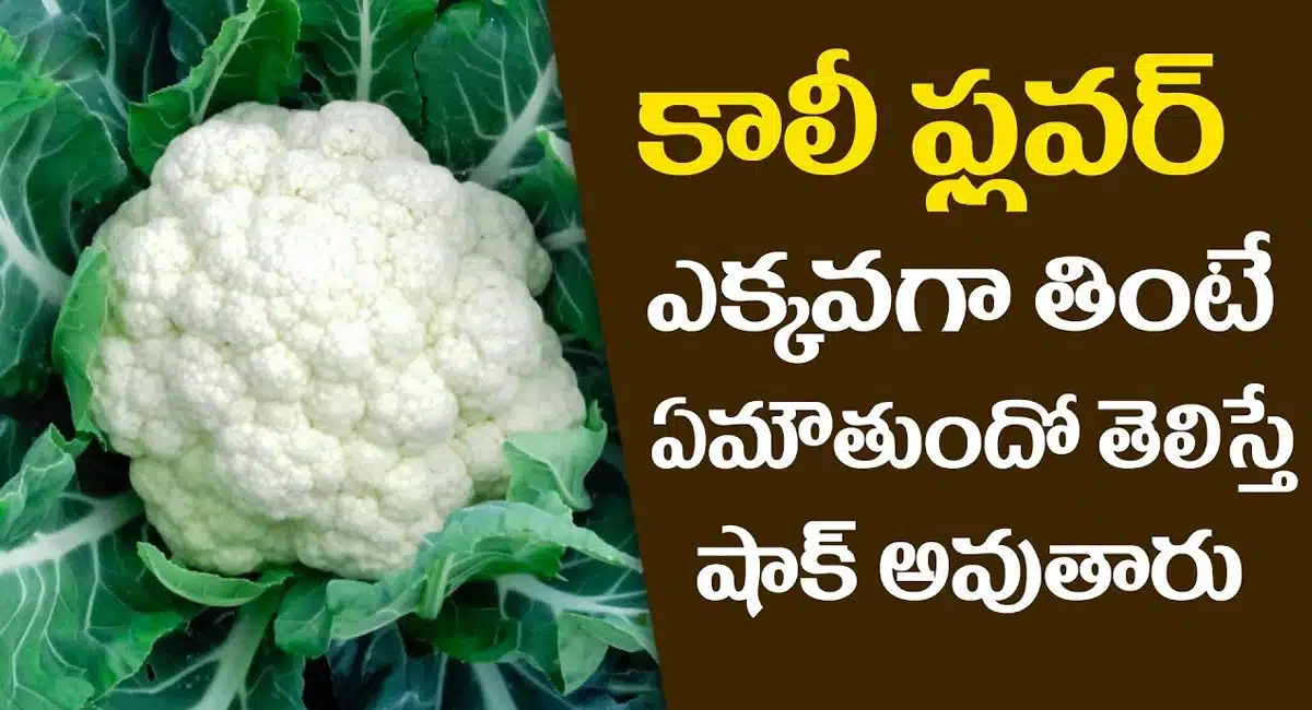 Cauliflower : క్యాలీఫ్లవర్ ఎక్కువగా తింటే ఏమవుతుందో తెలిస్తే షాక్ అవుతారు...!