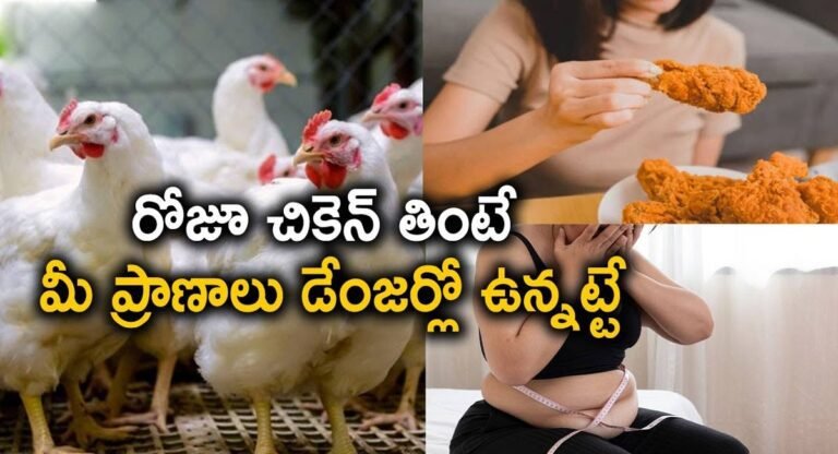 Chicken : రోజు చికెన్ తింటే కలిగి నష్టాలు తెలిస్తే షాక్ అవ్వక తప్పదు..!!