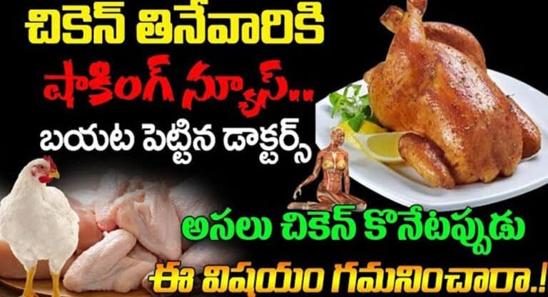 Chicken : చికెన్ తినేవారికి షాకింగ్ న్యూస్.. డాక్టర్స్ బయట పెట్టిన నిజాలు…!