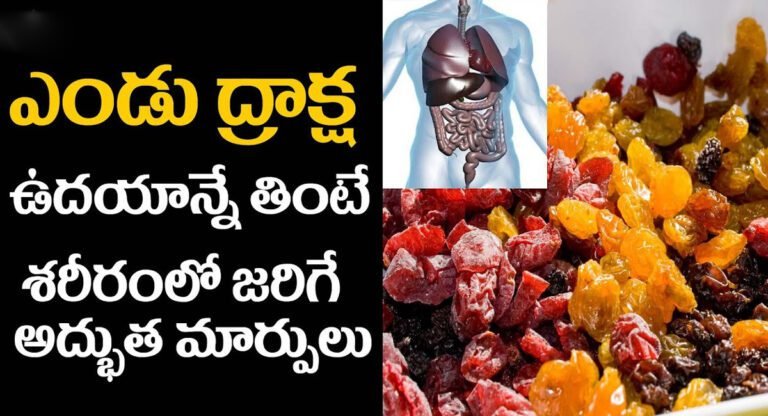 Dry Grapes : ఎండు ద్రాక్ష ఉదయాన్నే తింటే శరీరంలో జరిగే అద్భుతమైన మార్పులు ఇవే…!