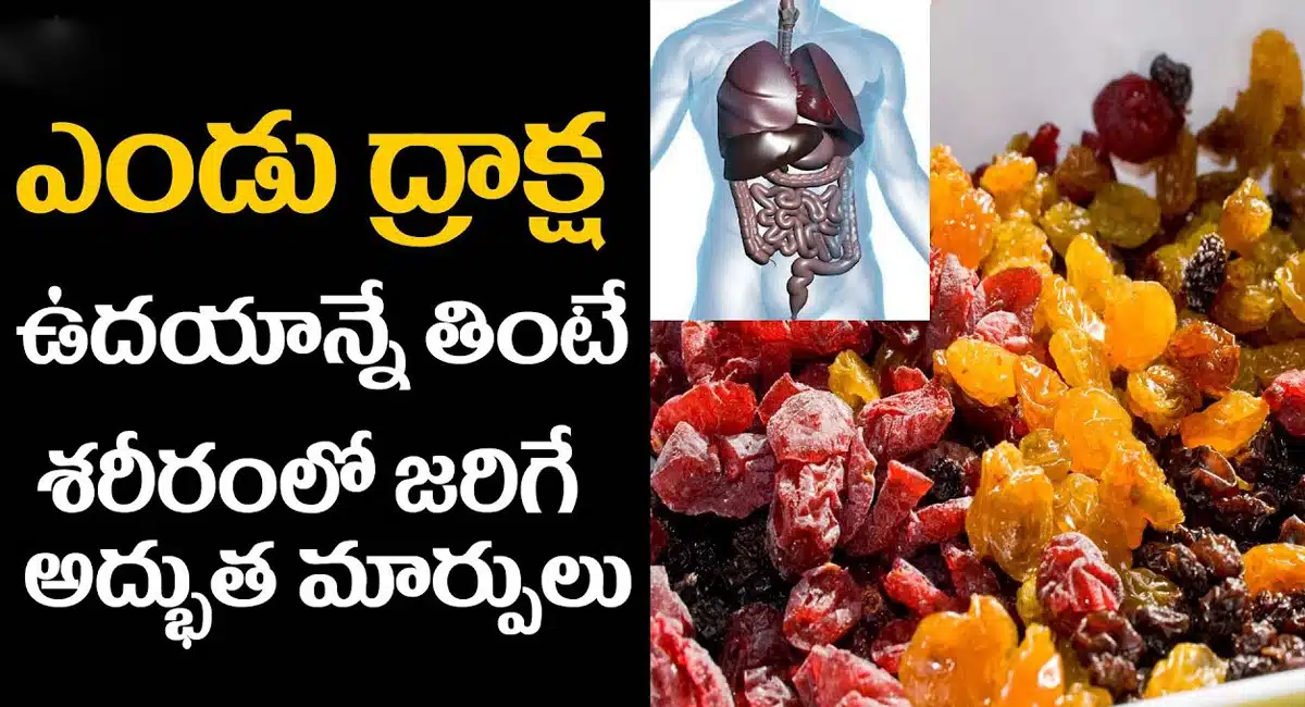 Dry Grapes : ఎండు ద్రాక్ష ఉదయాన్నే తింటే శరీరంలో జరిగే అద్భుతమైన మార్పులు ఇవే...!