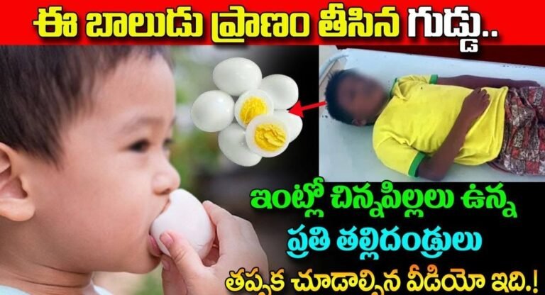 Eggs : బాలుడి ప్రాణం తీసిన గుడ్డు… ఇంట్లో చిన్నపిల్లలు ఉన్న ప్రతి తల్లిదండ్రులు తప్పక తెలుసుకోవాల్సిన విషయాలు…!