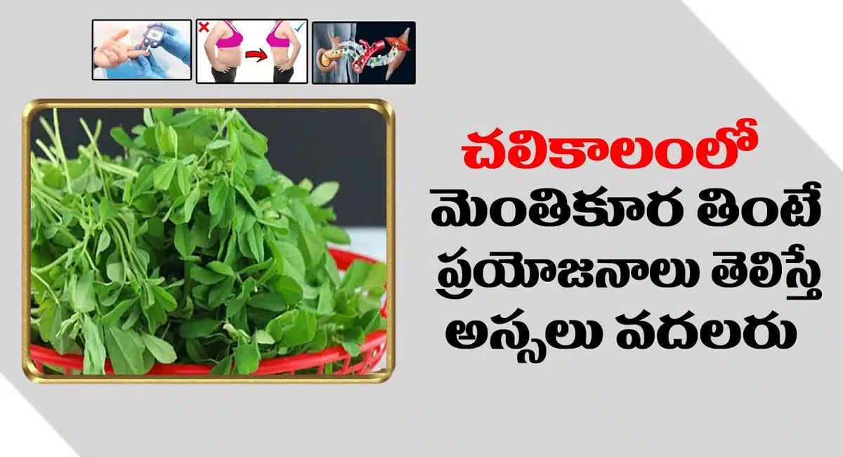 Fenugreek : చలికాలంలో మెంతికూర తింటే బోలెడు ప్రయోజనాలు... తెలిస్తే అసలు వదలరు...!