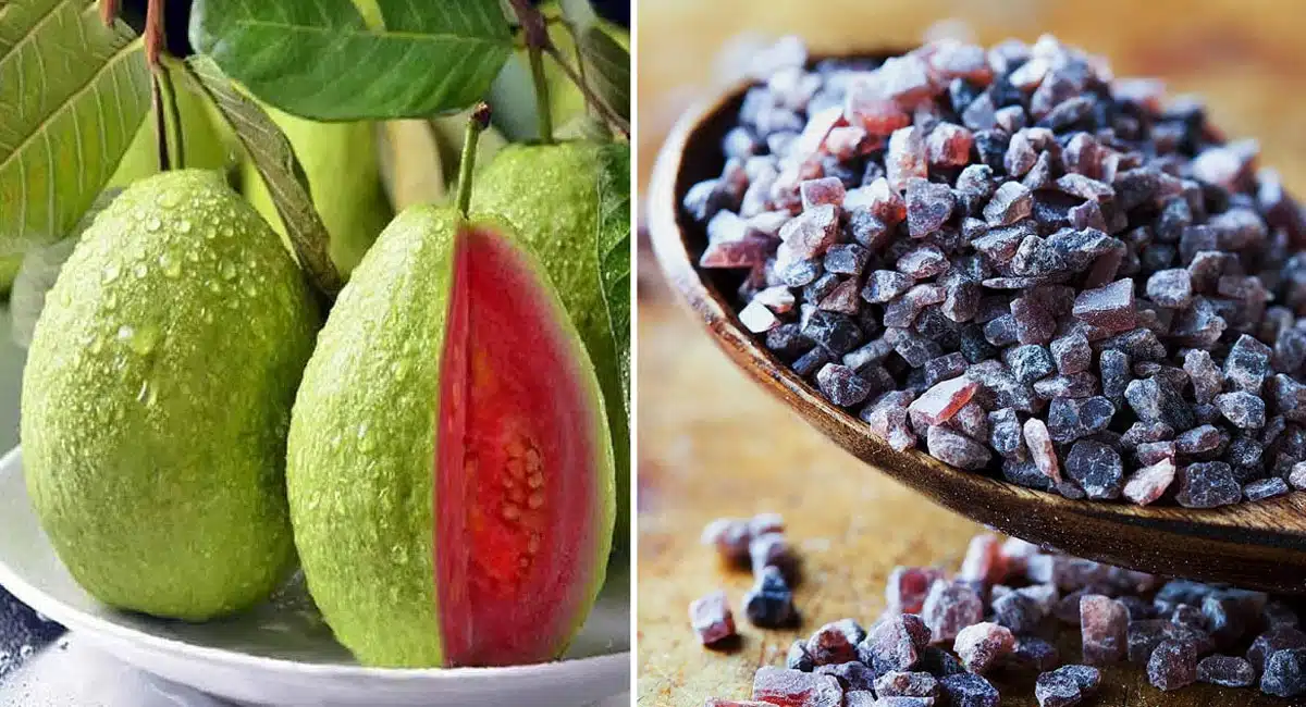 Guava : చలికాలంలో జామపండు బ్లాక్ సాల్ట్ కలిపి తింటే ఎన్ని ఆరోగ్య ప్ర‌యోజ‌నాలో తెలిస్తే.. వావ్ అంటారు..!