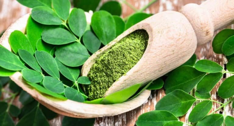 Moringa Leaves : మునగాకు తింటున్నారా..?? వాటి ప్రయోజనాలు గురించి తెలిస్తే షాక్ అవుతారు..!!