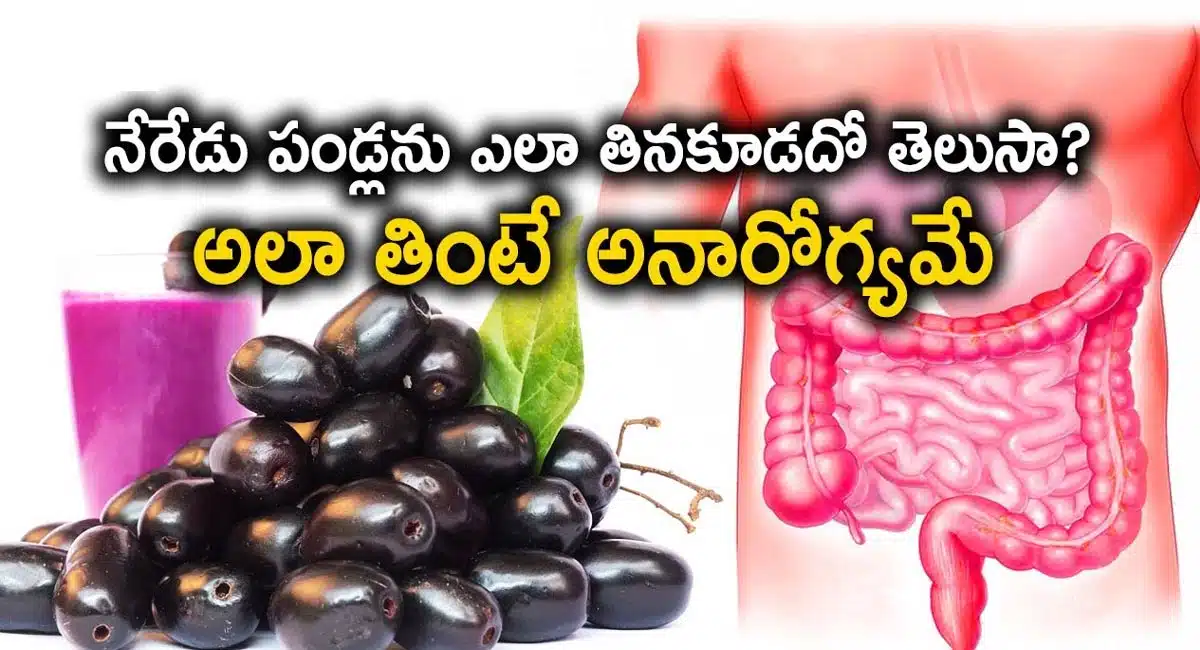 Jamun Fruits : నేరేడు పండ్లను ఎలా తినకూడదో తెలుసా..? అలా తింటే అనారోగ్యం తప్పదు..!!