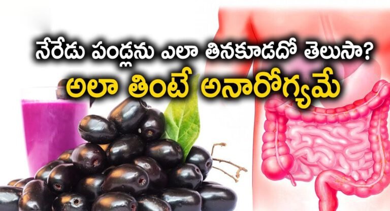 Jamun Fruits : నేరేడు పండ్లు ఇలా తిన్నారంటే మీ ఆరోగ్యానికి తప్పదు ముప్పు…!
